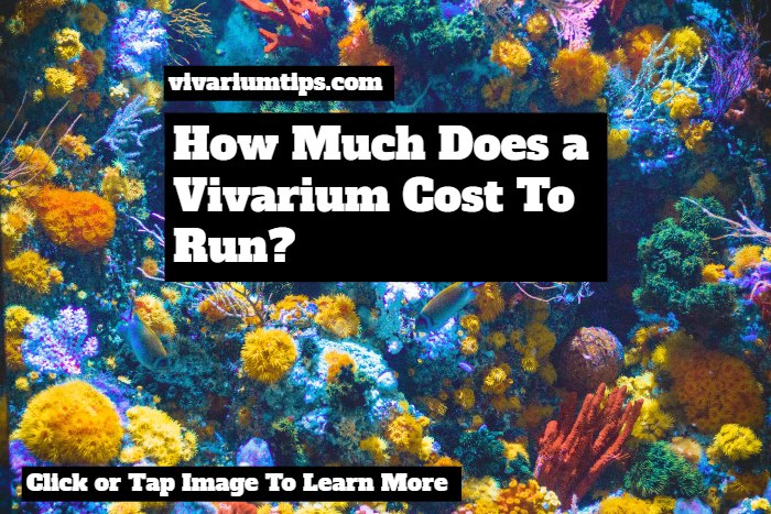 how much does a vivarium cost to run