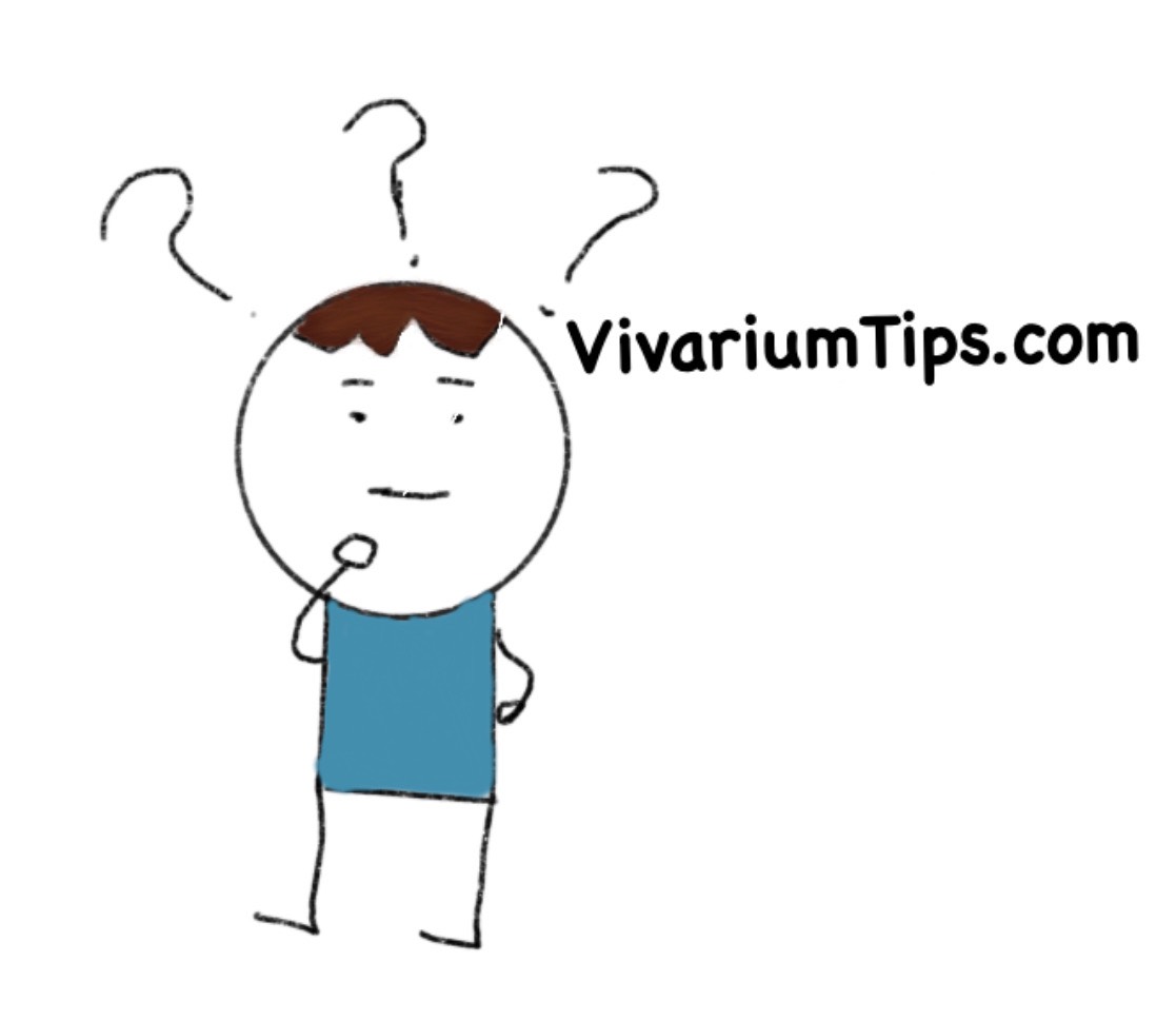 12 Types of Vivarium! (List + Images + Definition) VivariumTips