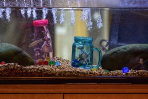 can you turn a fish tank into a reptile tank