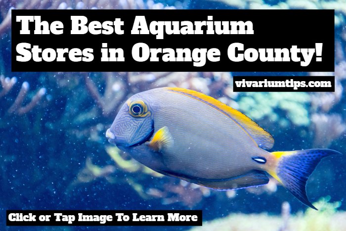 best aquarium stores in orange county