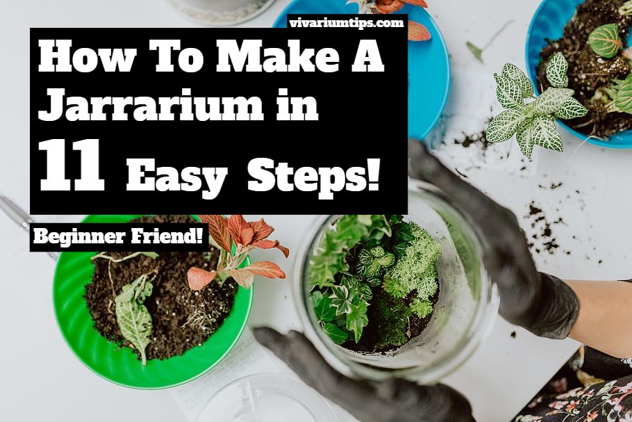 how to make a jarrarium