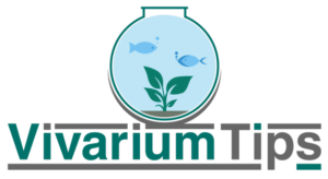 vivariumtips.com