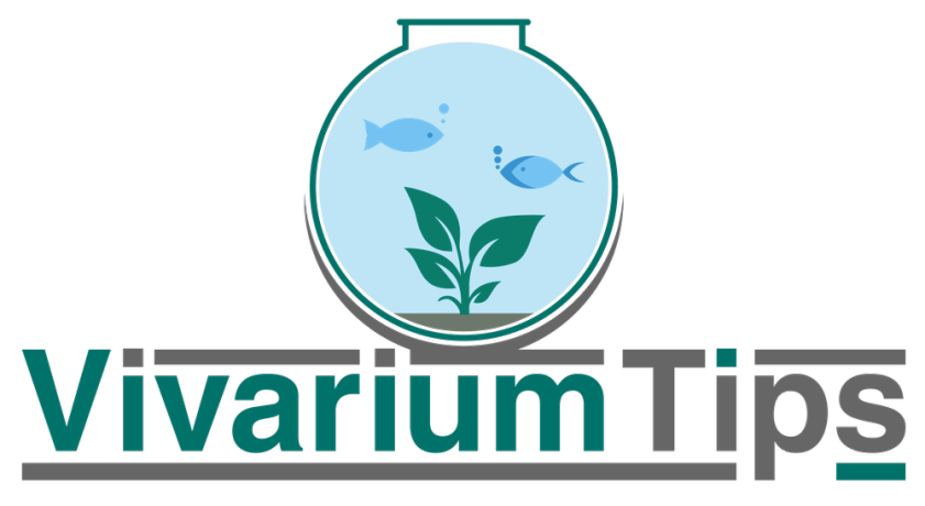 vivariumtips