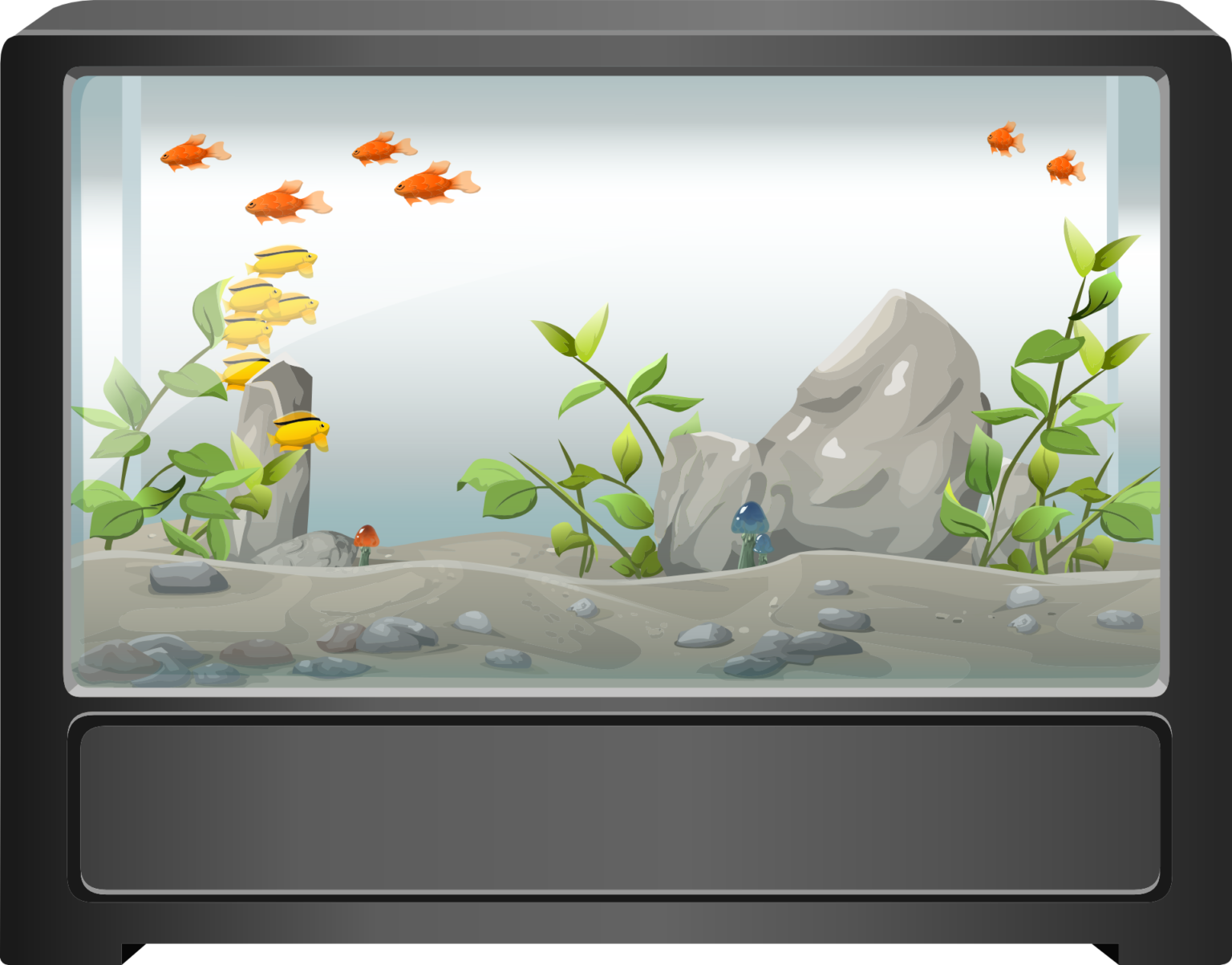 Can You Turn A Fish Tank Into A Reptile Tank? VivariumTips
