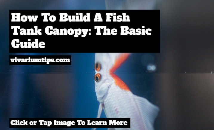 how to build a fish tank canopy