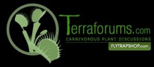 carnivorous plant forum