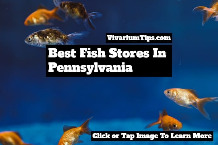 best fish stores in Pennsylvania