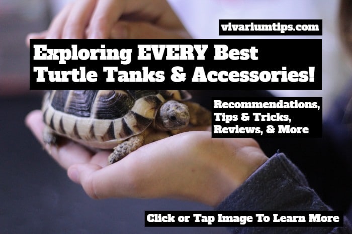 best turtle tanks