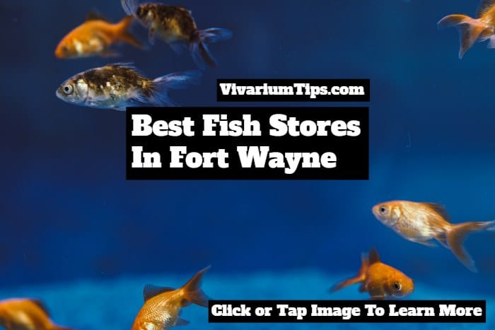 fish stores in fort wayne indiana