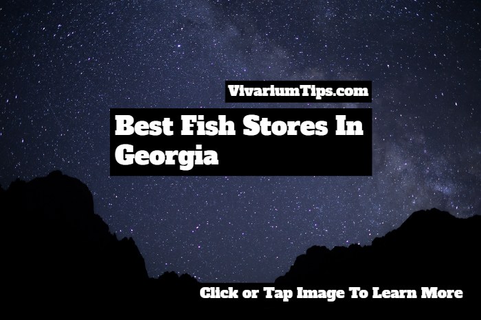 fish stores in georgia