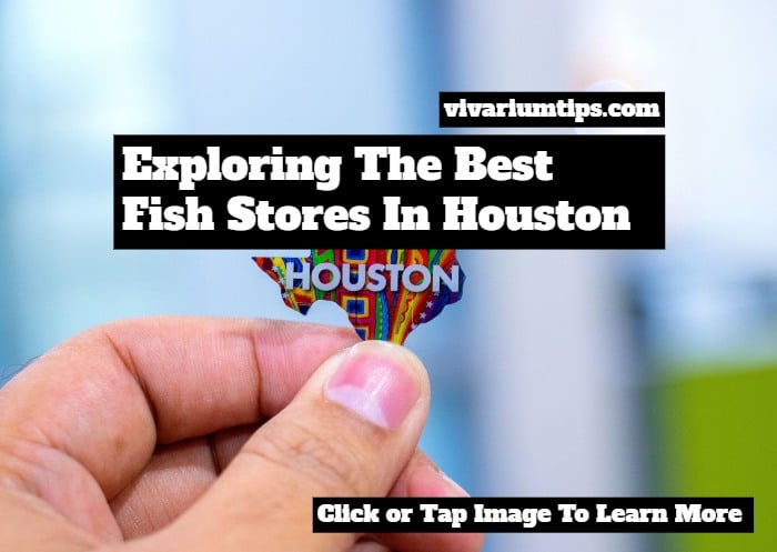 fish stores in houston
