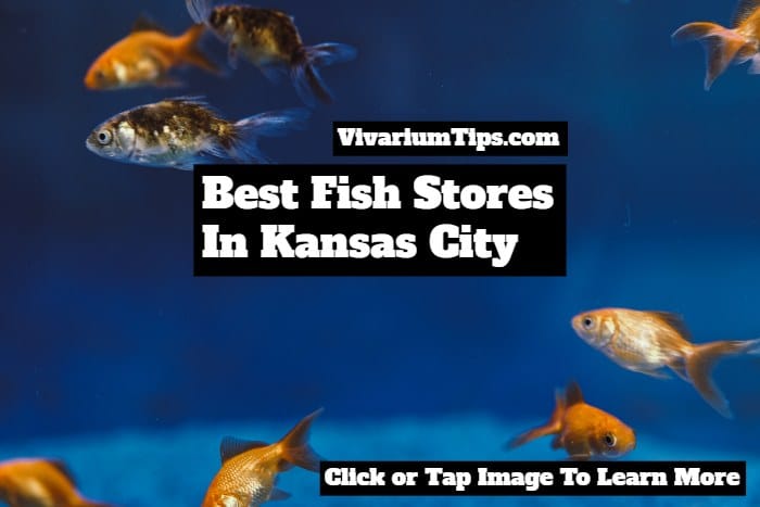 fish stores in kansas city