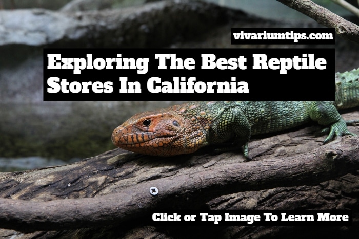 reptile stores in california