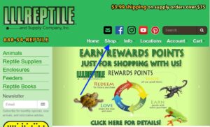 lllreptile.com