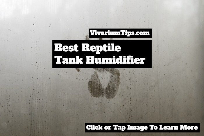 best reptile tank humidifiers