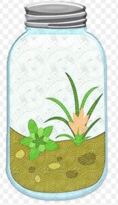 what isa terrarium