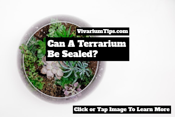 Can A Terrarium Be Sealed